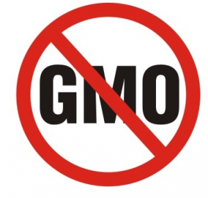 Genetically Modified Organisms (GMOs): Interesting information that may shock you.