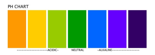 How to change body ph from acid to alkaline