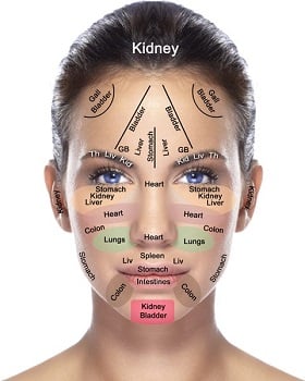 How Your Face Reflects the Health of Your Organs