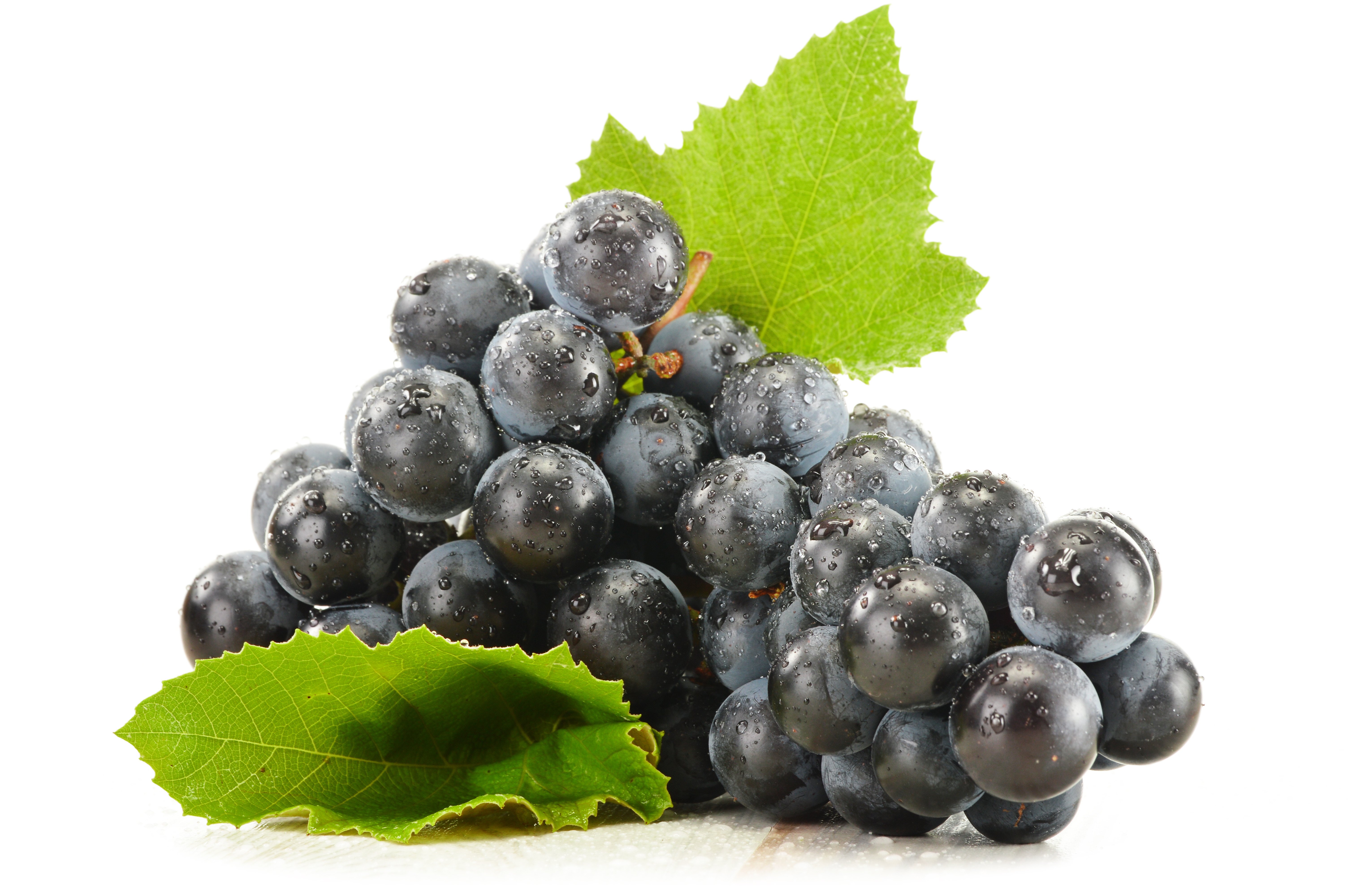 purple_grapes_resveratrol