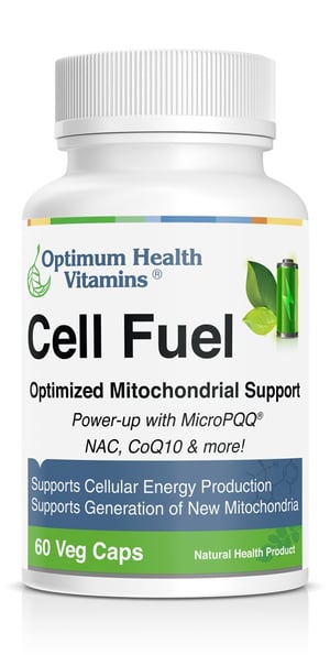 Cell Fuel