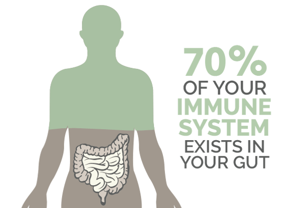 Immunity And The Gut Health Connection