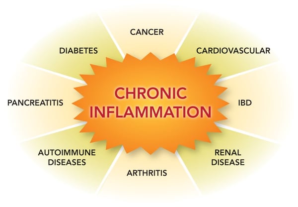 3 Important Steps To Reducing Chronic Inflammation And Significantly Improving Your Health & Well-Being