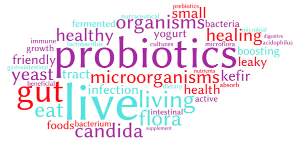 Why Probiotic Supplements Should Be Taken Every Day