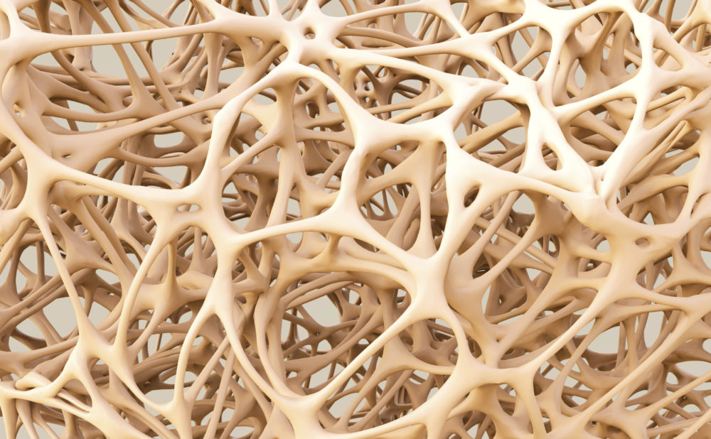 Coral Calcium & Bone Density: The Importance of Nutrient Balance